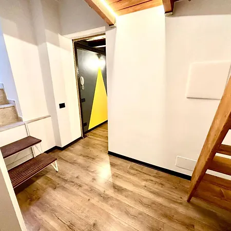 Gray Con Sauna